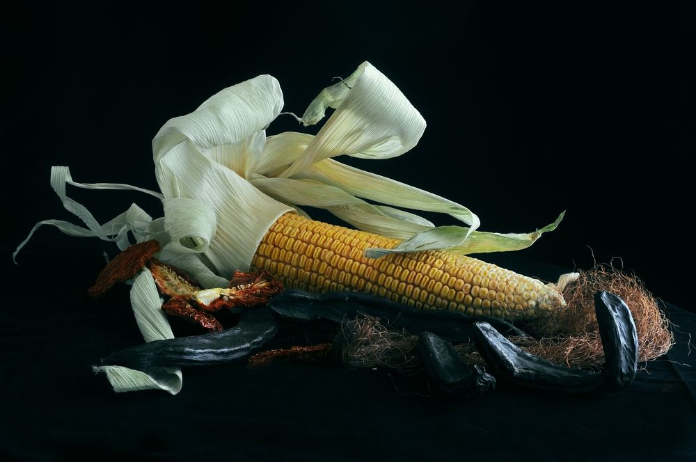 Фотография автора AYLIN EROZCAN