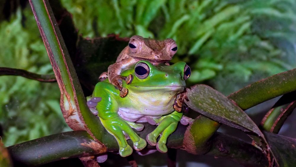 Photograph by Филиппов Олег