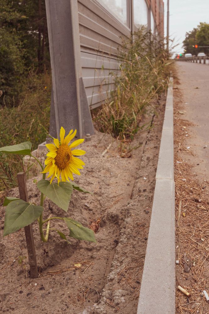 Фотография автора Дузь Виталий