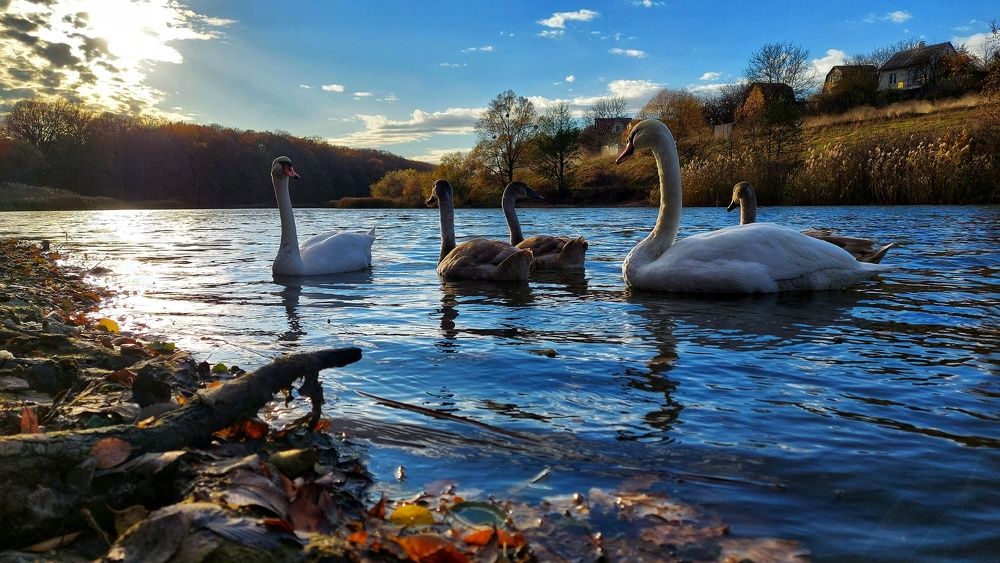 Photograph by Андрей Серый