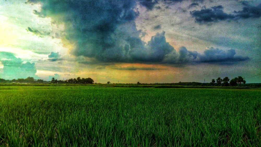 Before the Sunset