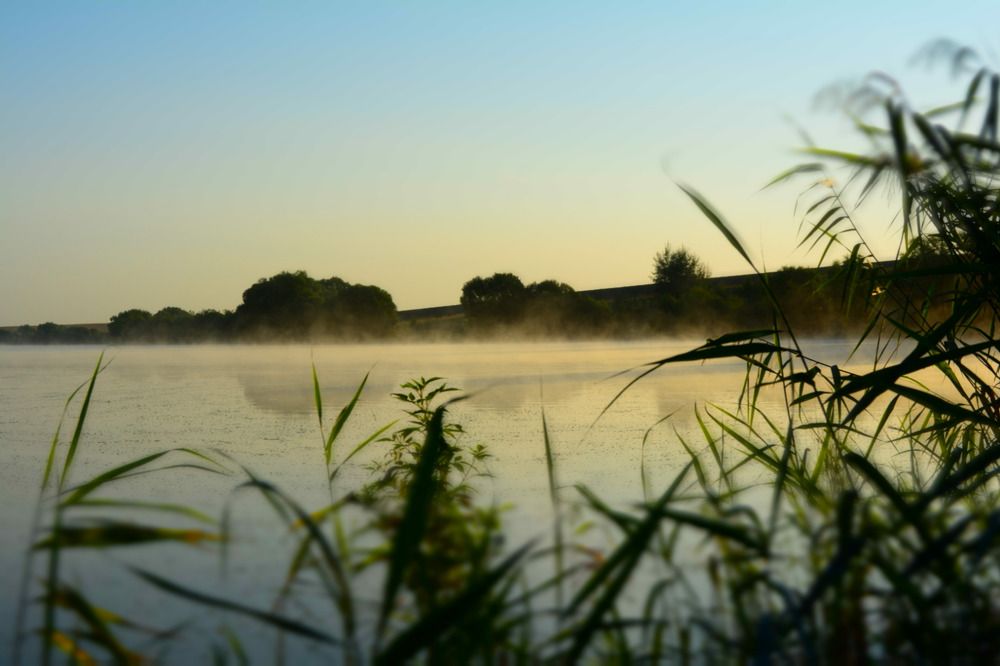 Photograph by Никита