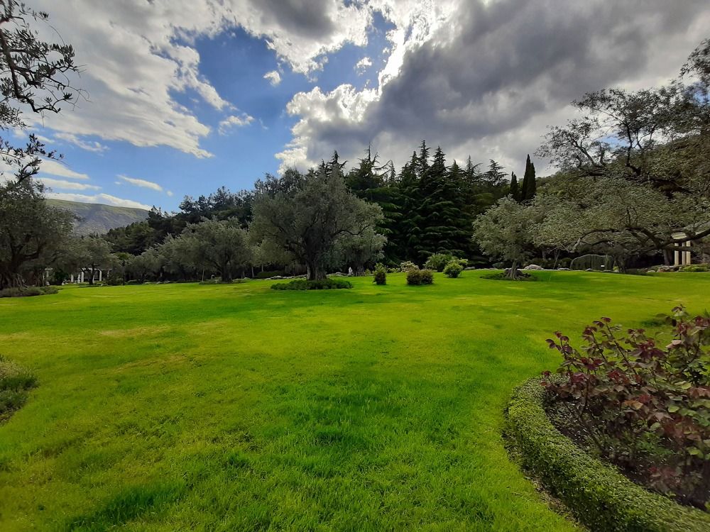 Photograph by Olga Smirnova