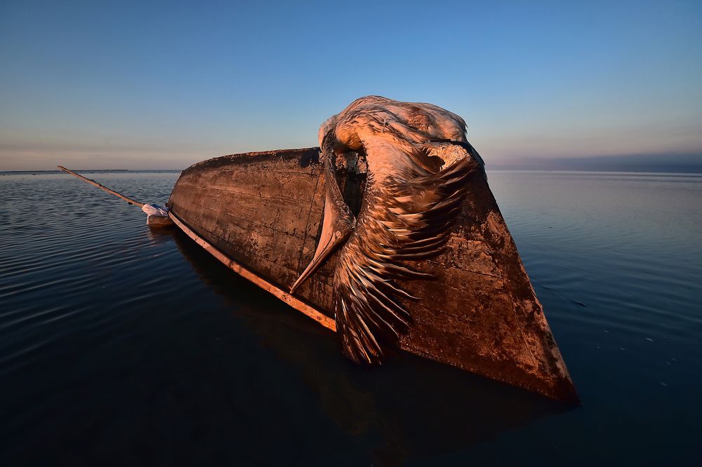 Photograph by mehdi mohebi pour