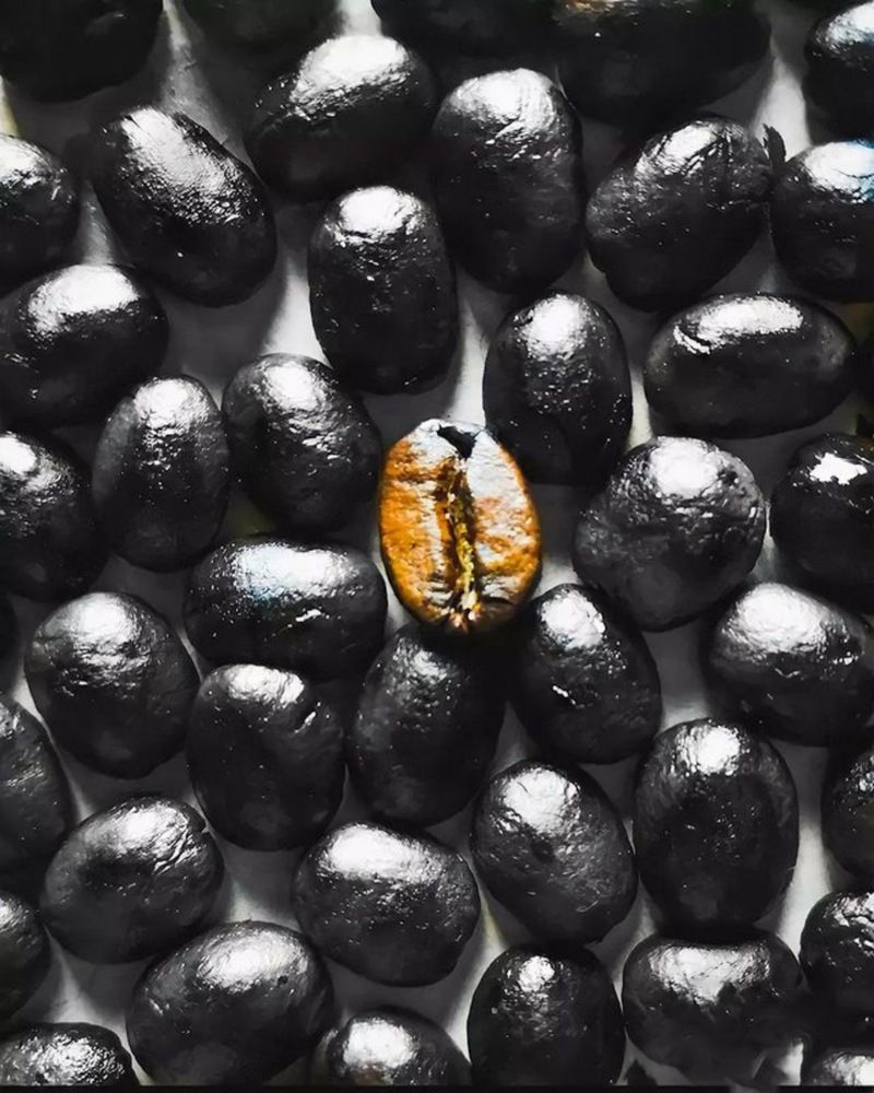 Photograph by Zakaria Kherfane