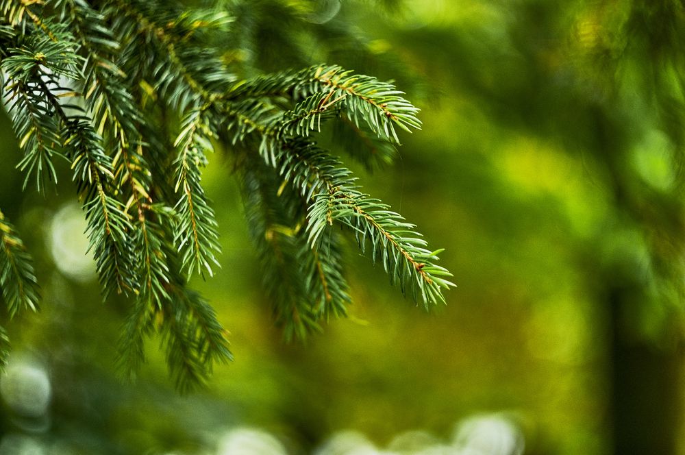 Photograph by Устинов Андрей