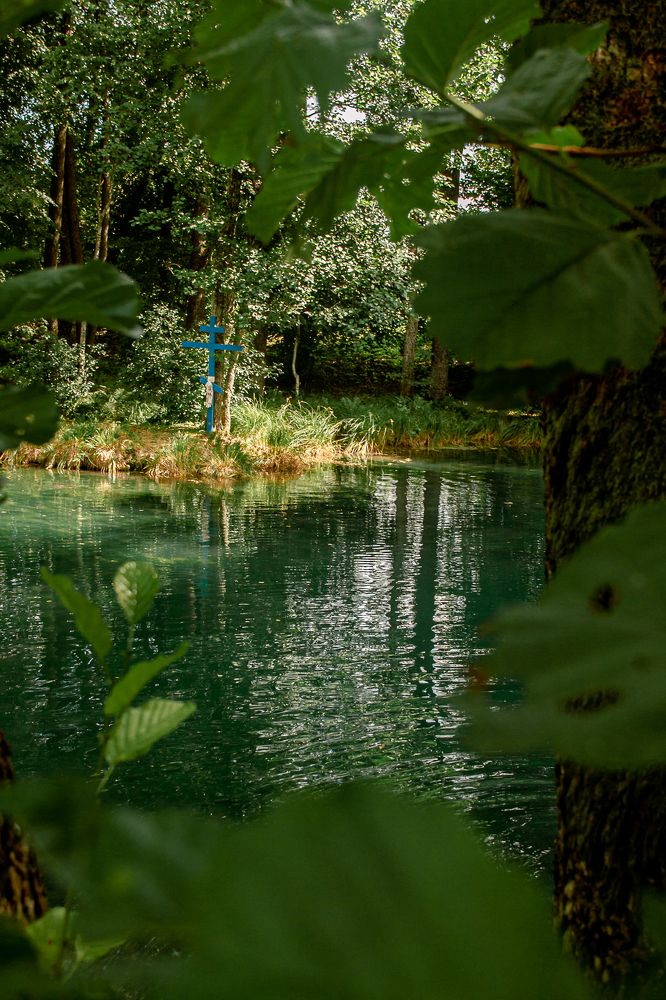 Photograph by Елена Гузова