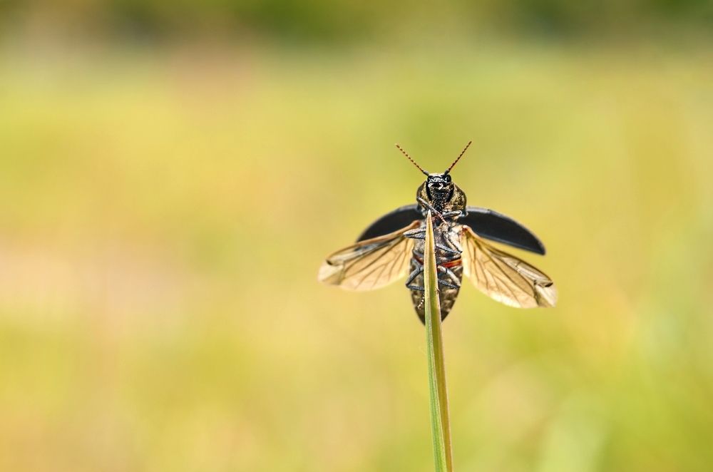 Photograph by Kveta Novotna