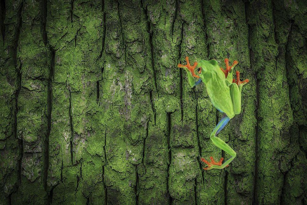 Photograph by daniel peterburg