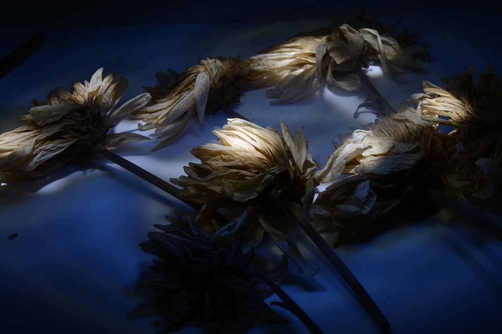 Photograph by Ольга Истомина