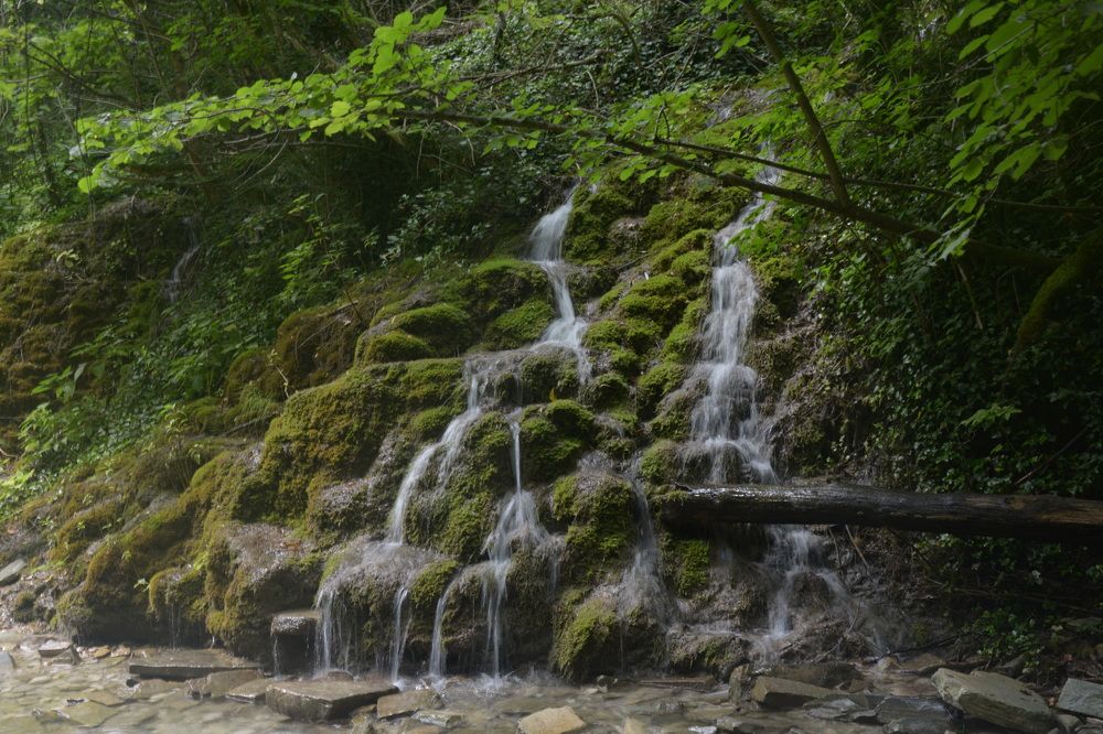 Photograph by Ольга Истомина