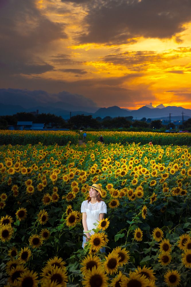 Фотография автора tran luong quyen