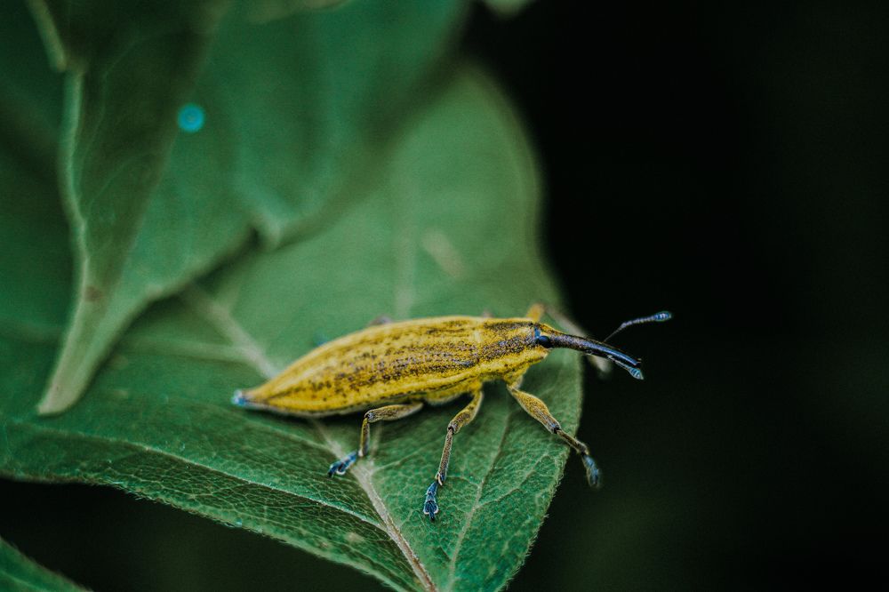 Photograph by hobbit