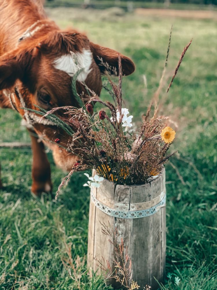 Photograph by Ольга Унутова( Виноградова)