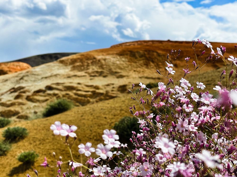 Photograph by Ольга Унутова( Виноградова)