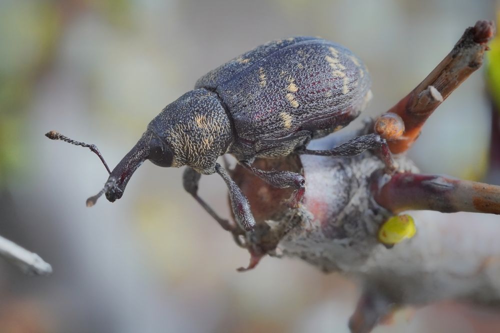 Photograph by Высотских Владимир