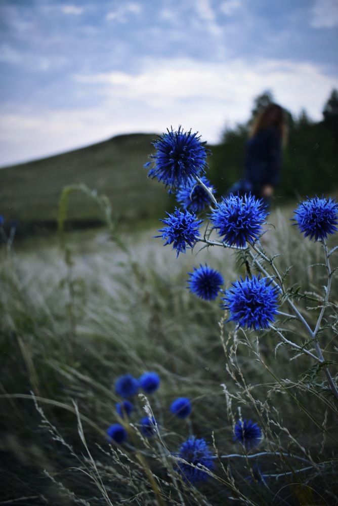 Photograph by Елена Бледных