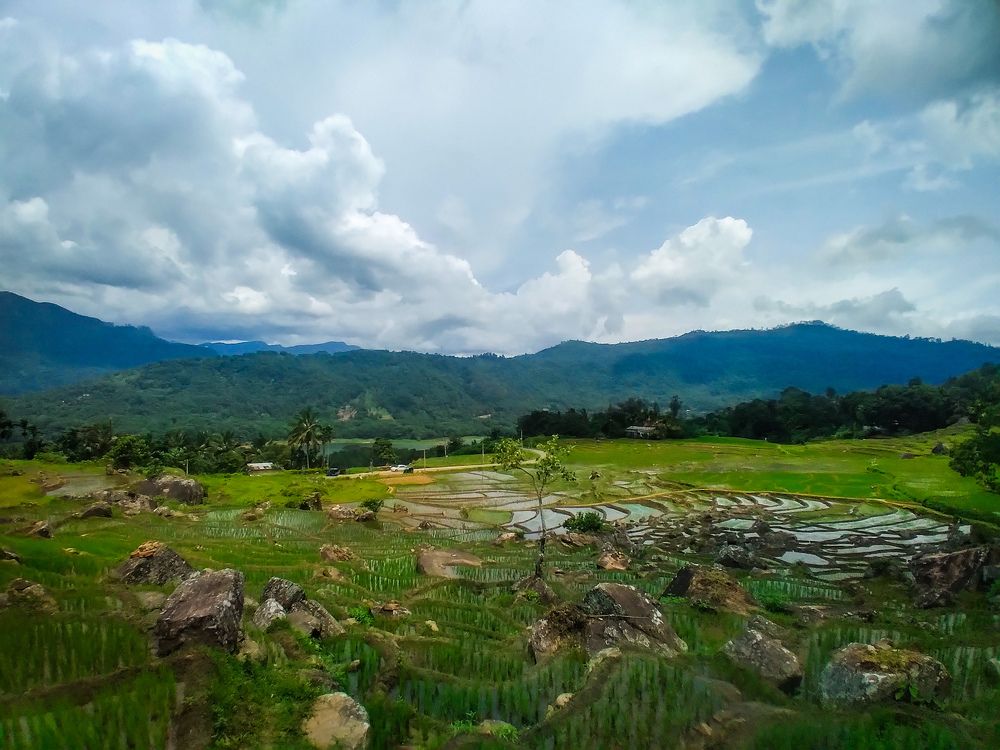 Photograph by lahiru sandaruwan