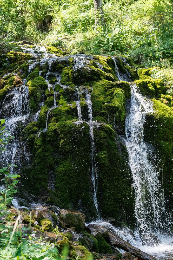 Photograph by Татьяна Суржанская