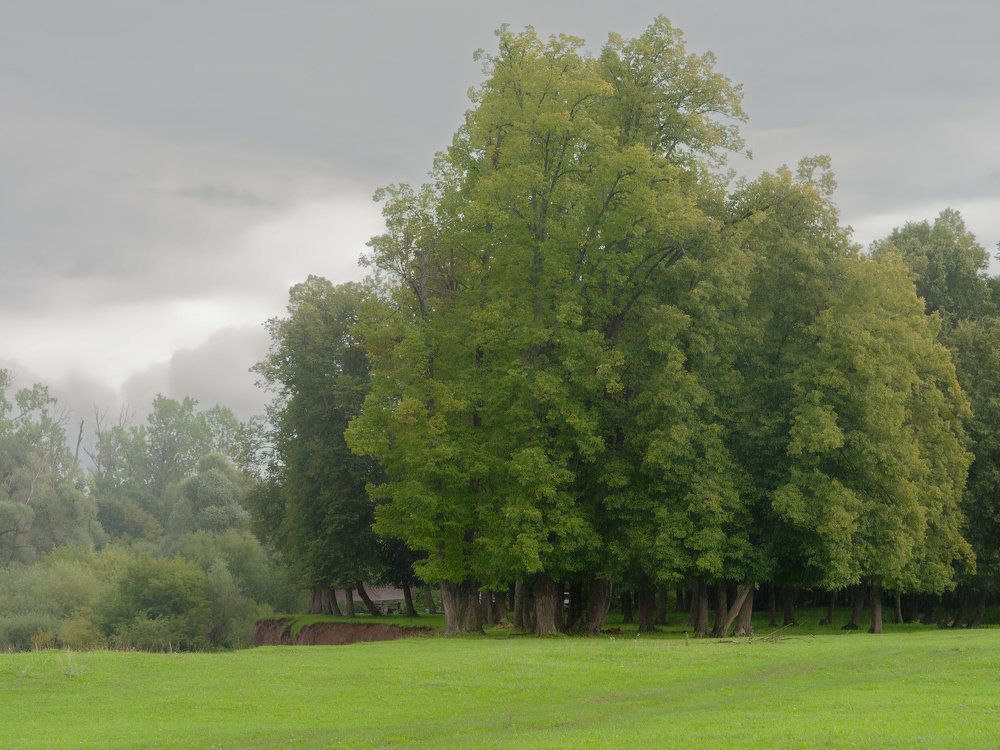 Photograph by Алексей Львов