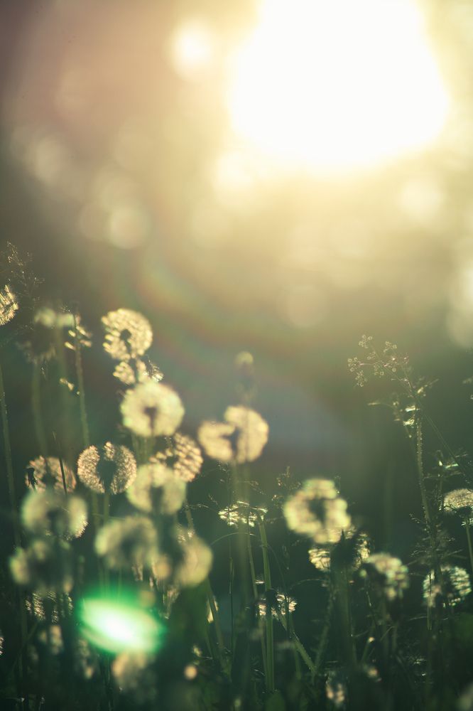 Photograph by hobbit