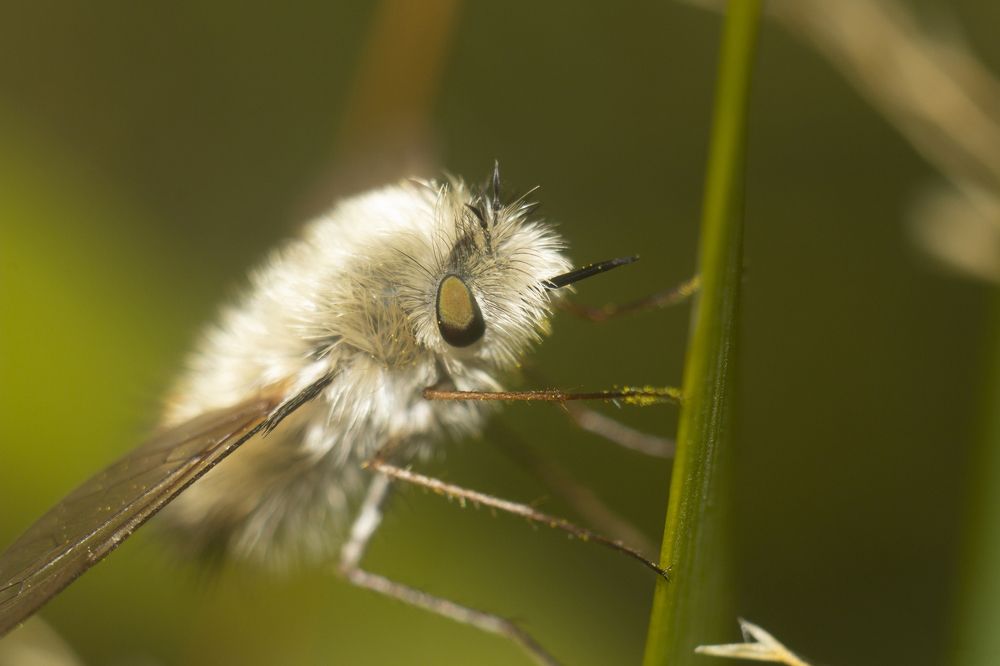 Photograph by Александр