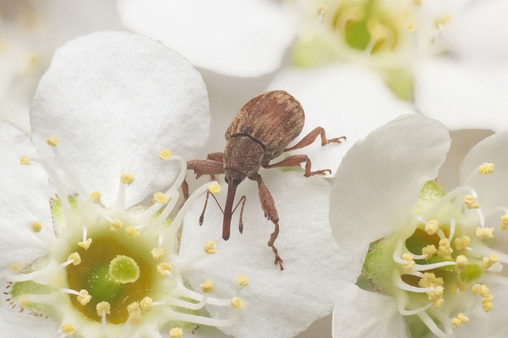 Photograph by Александр