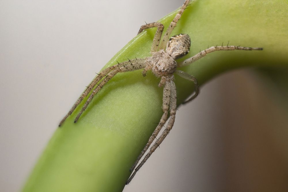 Photograph by Александр Астраханцев