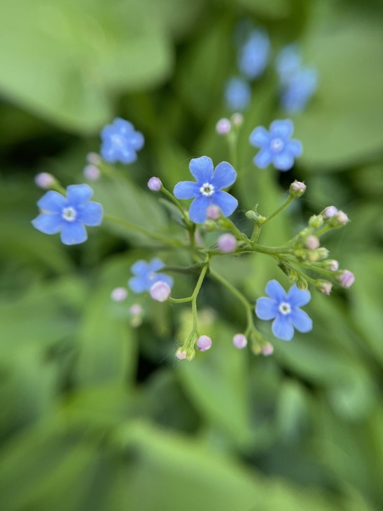 Photograph by Мария Шрейдер