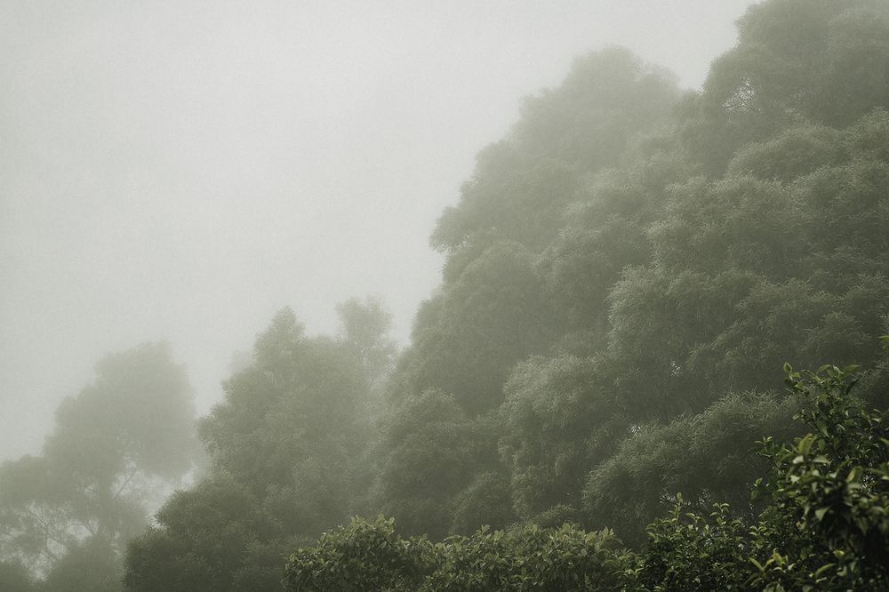 Photograph by Ashen Eranda