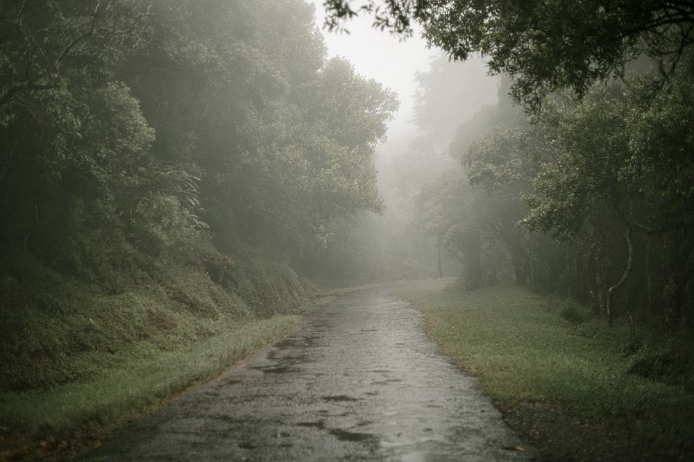 Photograph by Ashen Eranda