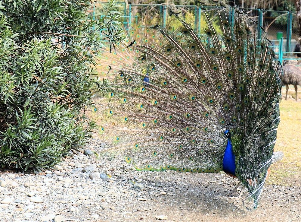 Photograph by Марина Юрченко