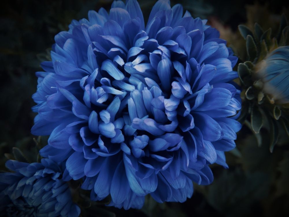 Photograph by Ирина Половцева