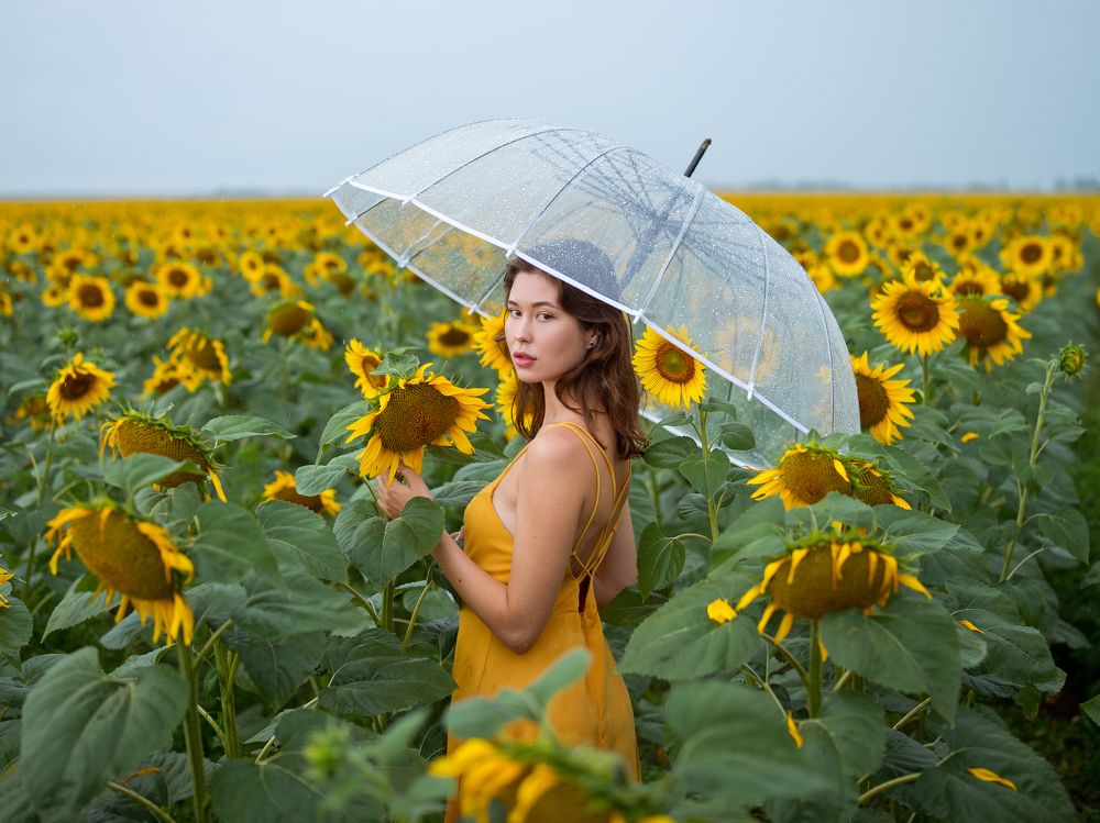 Долина Пасмурного Солнца