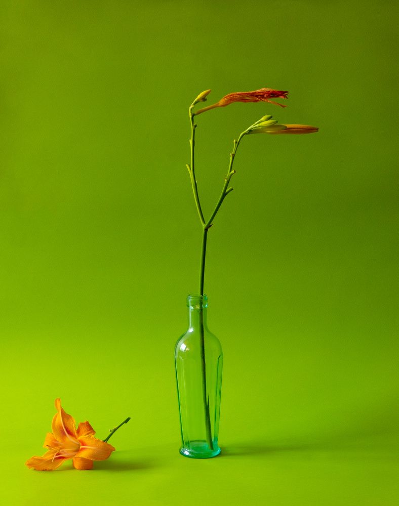 Photograph by Анна Статейко