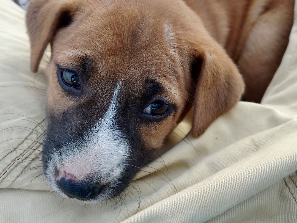 Photograph by Asif Ahmed