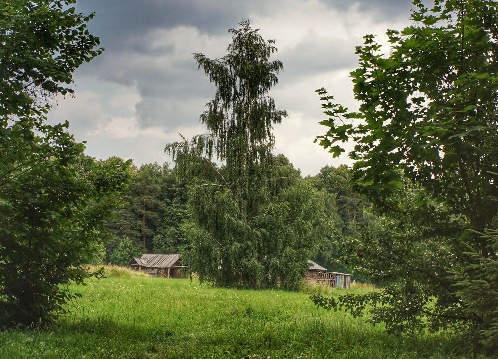 Photograph by Сергей Гуляев