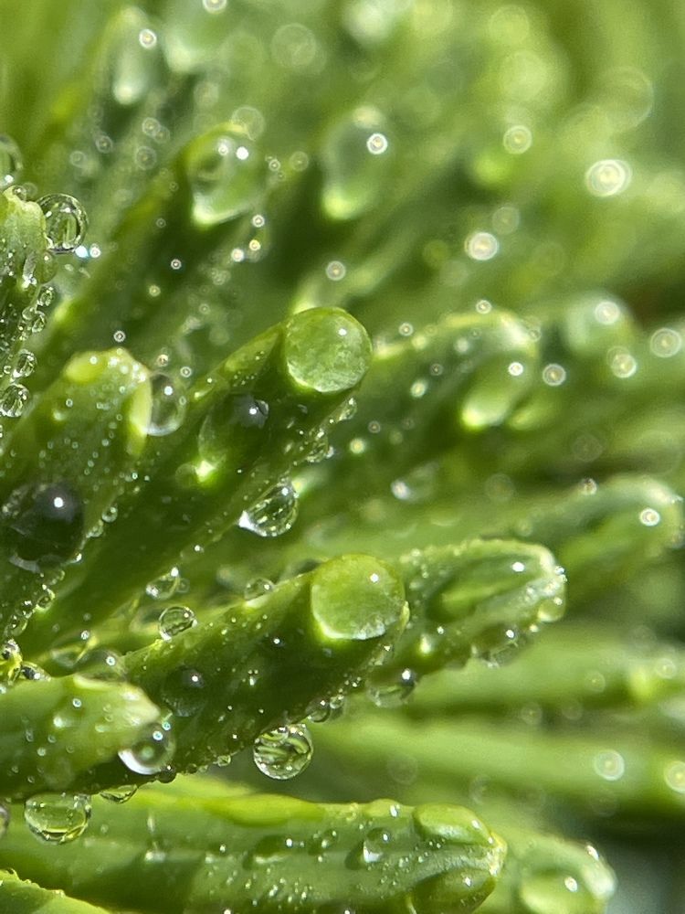 Фотография автора Рамзия Хисамутдинова