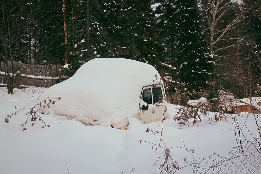 Photograph by Алла Жук