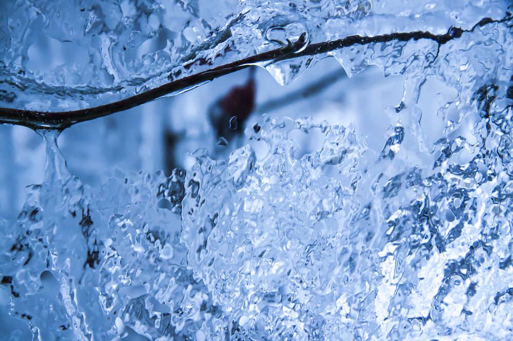 Синий цвет - 12