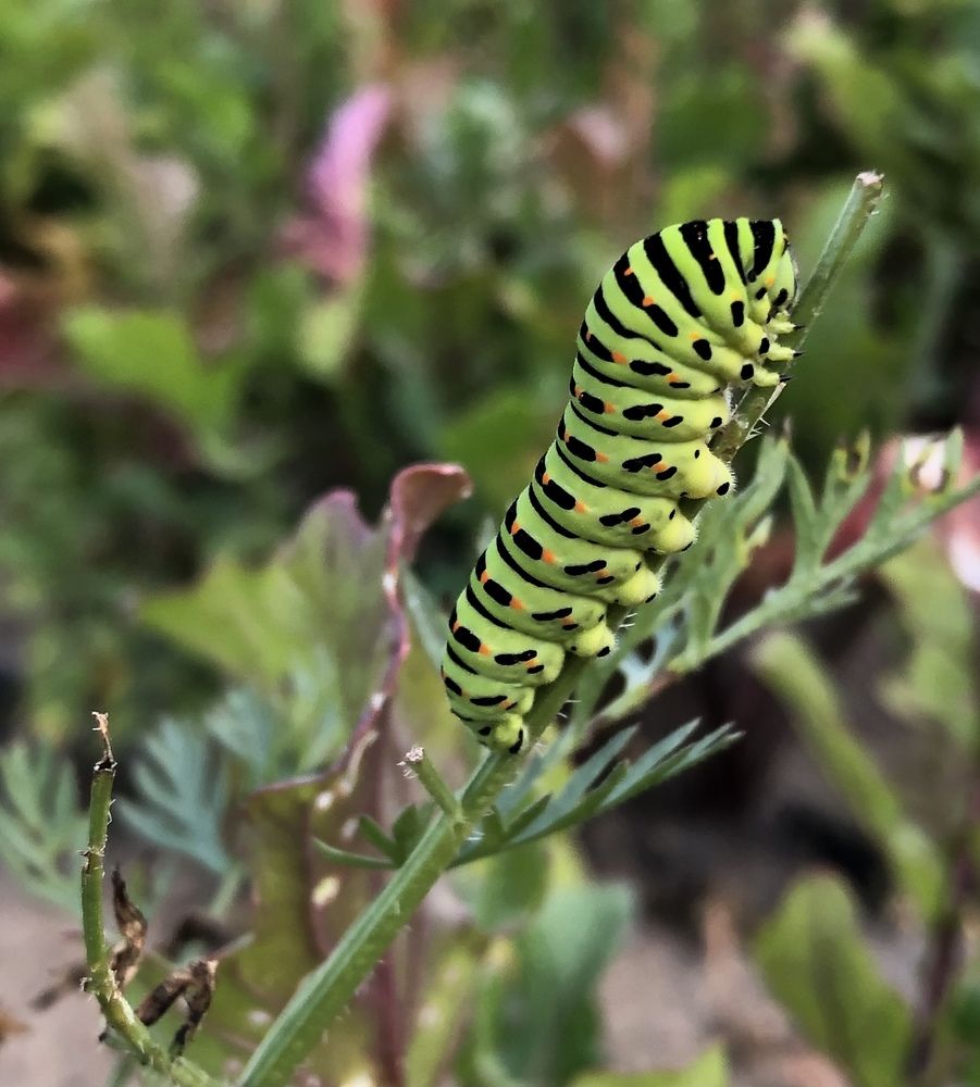 Photograph by Марина Георгиева