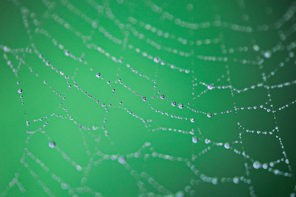 Photograph by Наталья Антипас