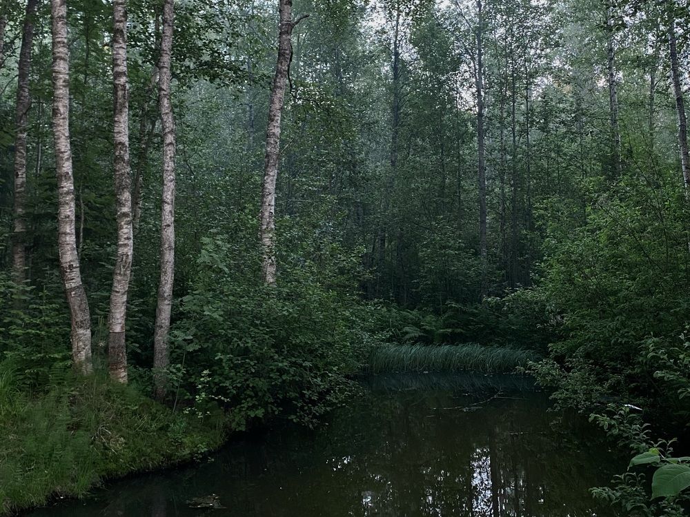 Photograph by Марина Танаева