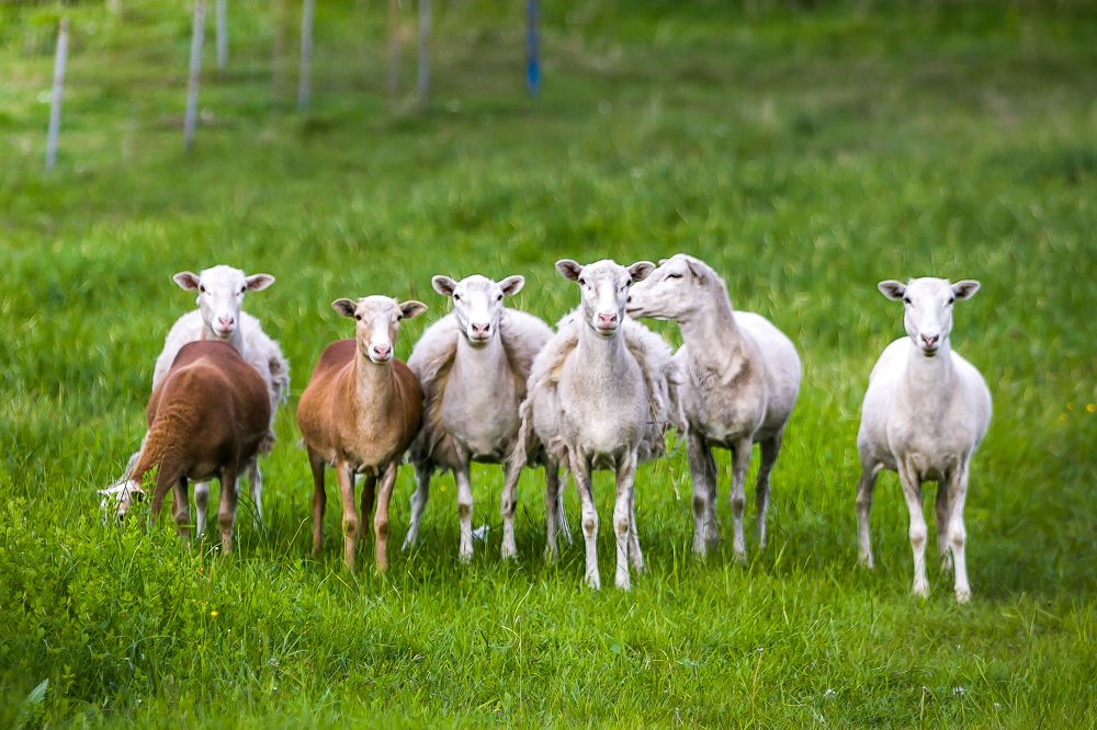 Photograph by Дмитрий Алабугин
