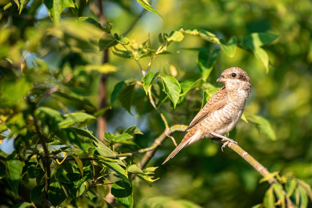 Photograph by наталья залогина