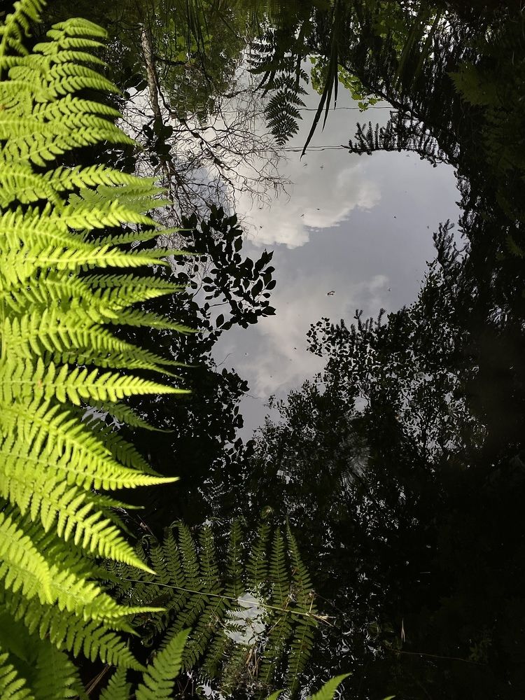 Photograph by Марина Танаева