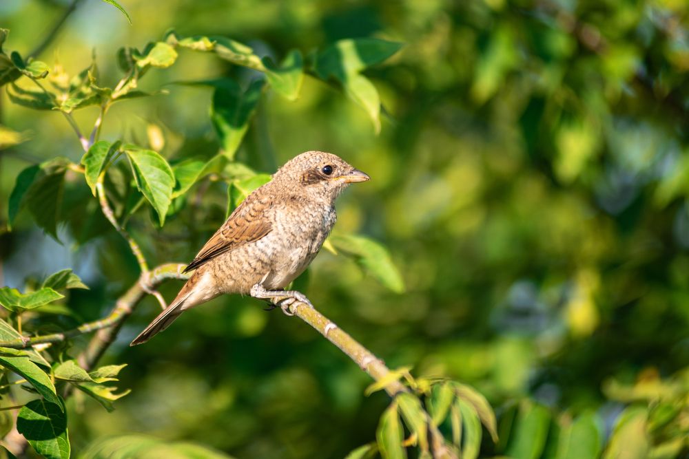 Photograph by наталья залогина