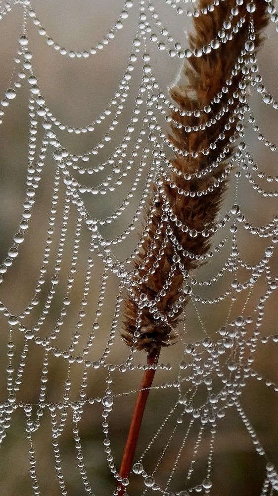 Photograph by Eлена Смирнова