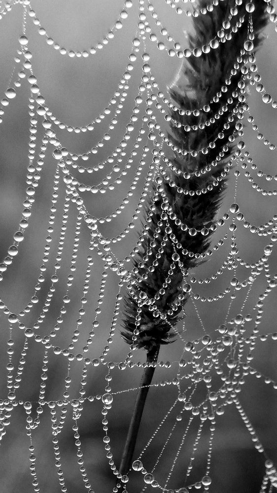 Photograph by Eлена Смирнова