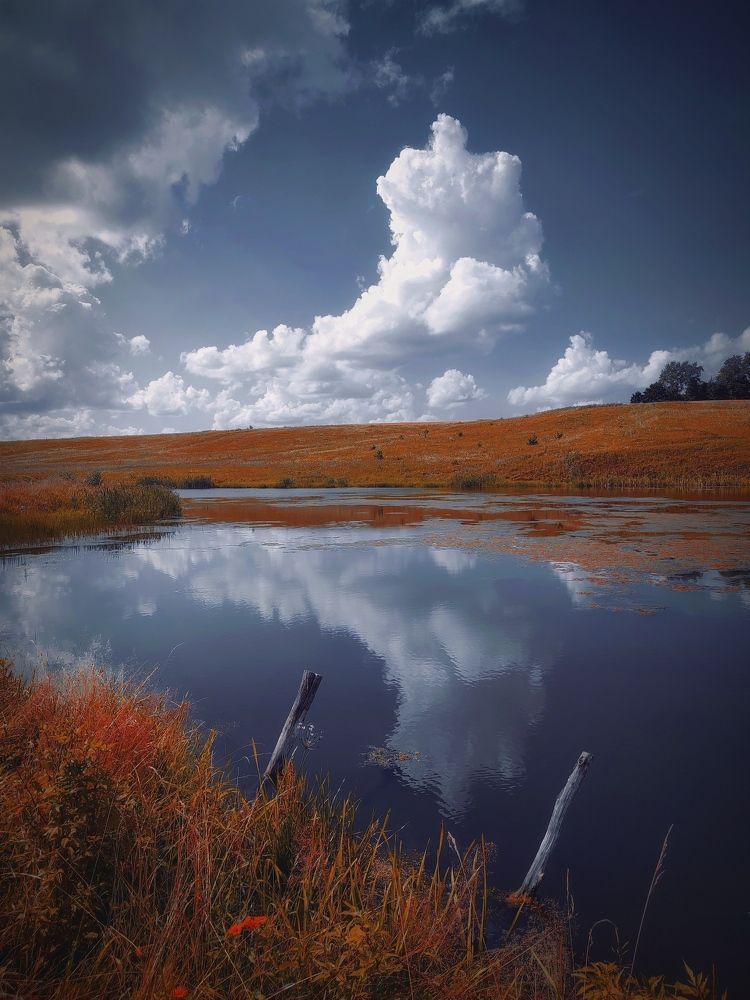 Photograph by Елена Дегтяренко